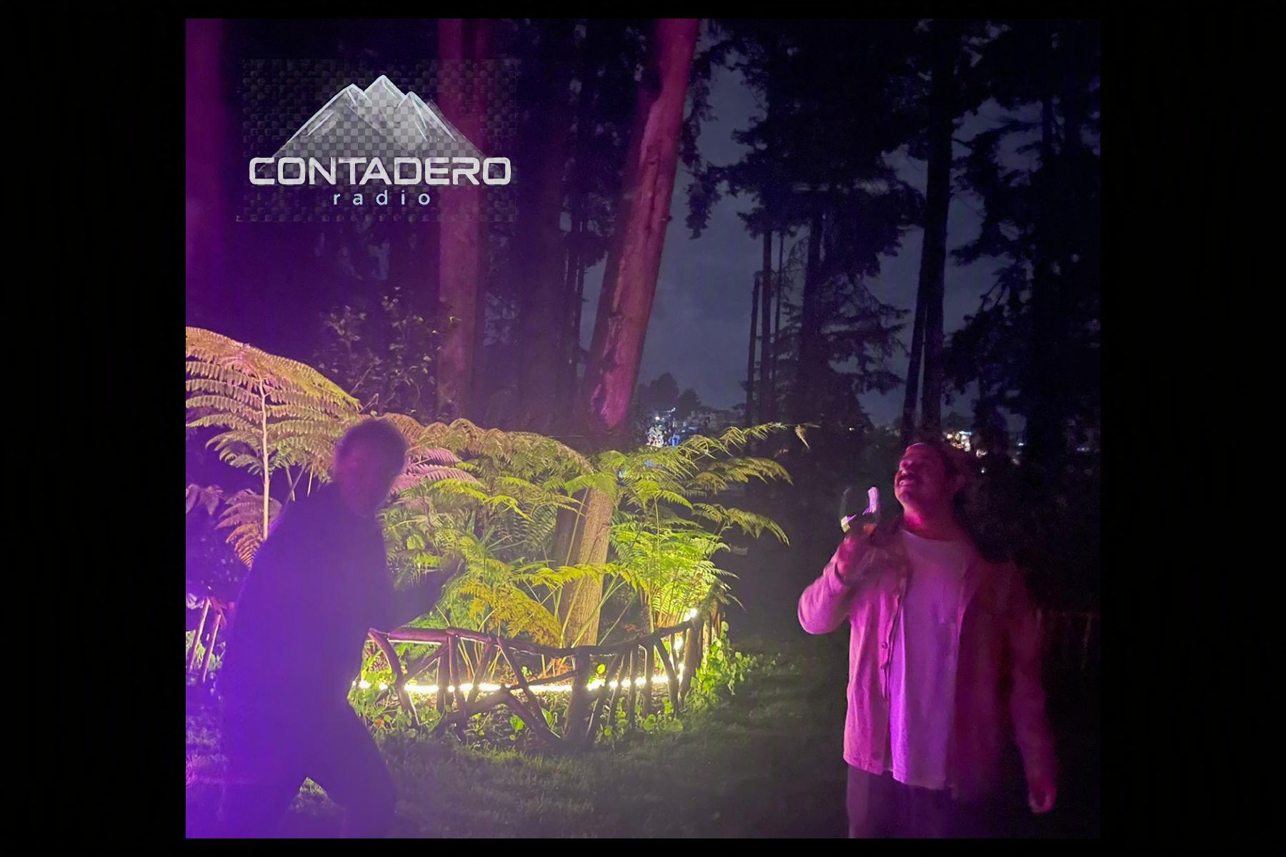 Fiesta Contadero